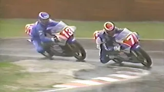 1989 国際A級250cc Rd.4 鈴鹿サーキット 田口益充選手 優勝 NSRが1-2-3