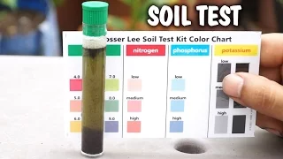 How to test your garden soil for pH & nutrients using a soil testing kit