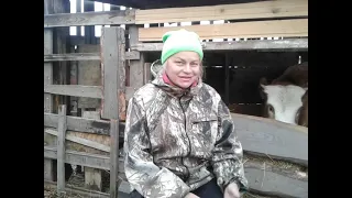 Почему важен выбор козла на ферме?🐐