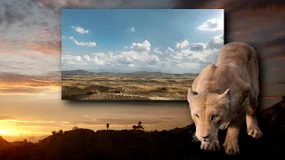 The Lion King 2019 - Spirit (Finnish Blu-ray Version) [HD]
