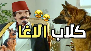 أهالي الضيعة عم يشتكوا من كلاب الاغا راح نص الرزق منهن ،