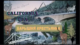 Барышня крестьянка, моменты из Калифорнии