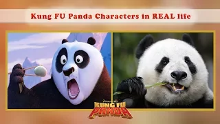 BEST VIDEO of Kung Fu Panda REAL LIFE Characters - Po, Tigress, Shen, Viper and others!