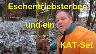 Eschentriebsterben und ein KAT-Set