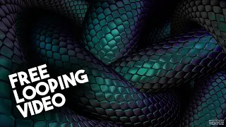 Free Snake Loop HD animation (☞ ͡° ͜ʖ ͡°)☞  Free loop