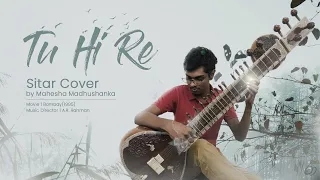 Tu hi Re- Sithar cover