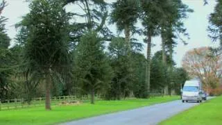 Great Trees of East Devon - The Bicton Monkey Puzzle Tree Ancient tree