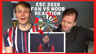 Lukeovision // ESC 2020 REACTION + TOP // Fan vs Noob