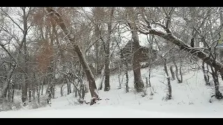 Звуки сильного арктического ветра.Падающий снег.Под белый шум спи и расслабляйся.Метель в горах.