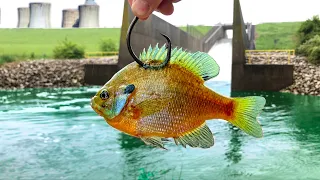 This POWER Plant Spillway Was Hiding a MASSIVE Fish!!! (NEW PB!)