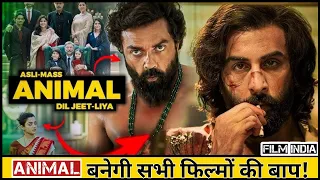 Aukaat Dikha Di  Animal Box office REPORT#Film india 😄