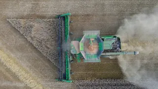 John Deere X9 1000 & HD40X |wheat harvest|