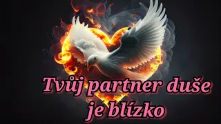 Tvůj skutečný partner duše se blíží #vykladkaret #vykladtarotu