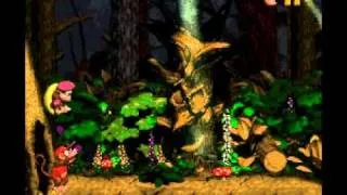 Donkey Kong Country 2 (in 39 minutes!) [any % TAS]