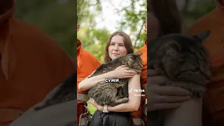 💔ТЫСЯЧИ спасенных животных благодаря героям МЧС #shorts #прямий #мчс