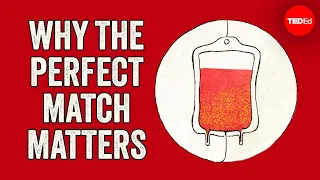 How do blood transfusions work? - Bill Schutt