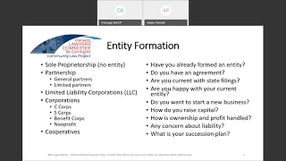 BACP Webinar: Choosing the Right Legal Entity-A Small Business Entity