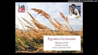 Il grano e la zizzania (Matteo 13:24)