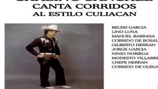 AL ESTILO CULIACAN DISCO COMPLETO CHALINO