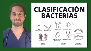 CLASIFICACIÓN DE LAS BACTERIAS | MICROBIOLOGÍA