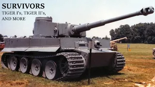 Surviving Tiger I's, Tiger II's, & More