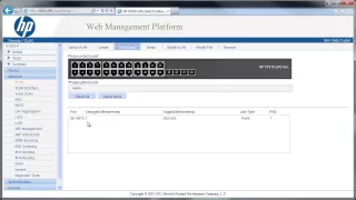 Using VLAN Tagging with VMware vSphere - A Simple Tutorial