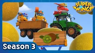 Kiwifruit Catastrophe | super wings season 3 | EP40