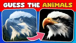 Guess the Hidden Animal by ILLUSION - Riddle hub