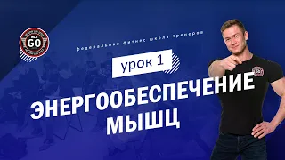 Энергообеспечение мышц - урок 1 (Типы мышц, АТФ и источники его ресинтеза)