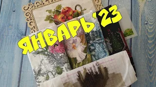 5/23: ИТОГИ ЯНВАРЯ"23: ТРИ СТАРТА/ФИНИШ И ОФОРМЛЕННАЯ КАРТИНА/ ЛУКА-С/ ССР/ РИОЛИС/ АЛИСА/ПАННА/