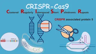 CRISPR-Cas9 : Introduction and discovery