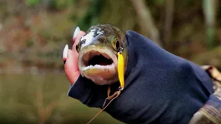 ЧУТЬ НЕ УТОНУЛА! Рыбалка на реке. ШОК! Поймала ручьевую форель! #90
