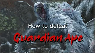 Sekiro Tutorial Guide | Guardian Ape