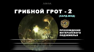 Грибной Грот II: ветеранское подземелье, усложненный режим, гайд / Fungal Grotto II vet hardmode ESO