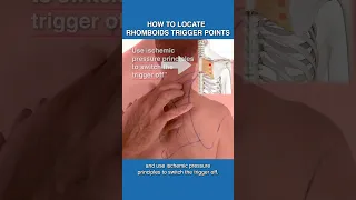 How To Locate Trigger Points In The Rhomboids