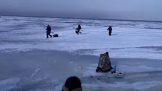 Лед тронулся   8 марта 2018 года (опасно)