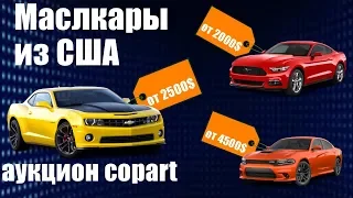 Мускул 💪кары 🚗 из США 🇺🇸| 💣обзор машин на аукционе копарт