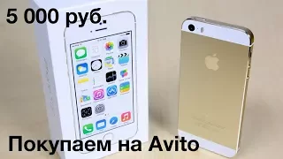 Выбираем iPhone 5s на Авито (Юла)