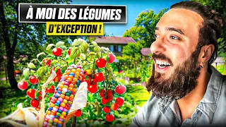 MON PREMIER POTAGER !