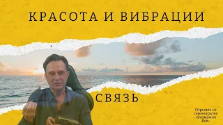 Красота и вибрации. Связь "я и мир" | Отрывок из семинара "Возможно Всё"