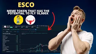 Esco Coin ESCO Meme Token That Has The Potential To Fly 10,000X #cryptocurrency