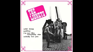 The Lionets - I'm Not Like Everybody Else (The Kinks Cover)