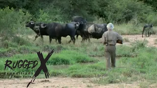 Hunting the Wild Buffalo of Paraguay