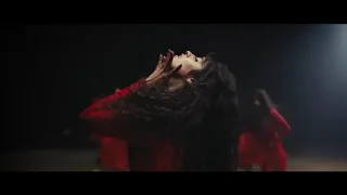 Camila Cabello - Bad Kind of Butterflies (Music Video)