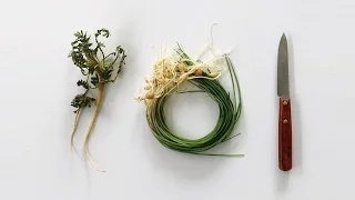 [키친가이드] 봄나물 손질법 2탄! 달래, 냉이 손질하기 : How to trim spring greens #2 [아내의 식탁]