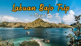 Labuan Bajo Trip - Day 1. Priceless View from Kelor Island and Amazing Bats Party at Kalong Island!