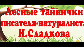 Лесные тайнички писателя-натуралиста Николая Сладкова