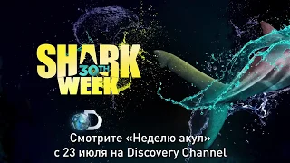 «Неделя акул» на Discovery Channel