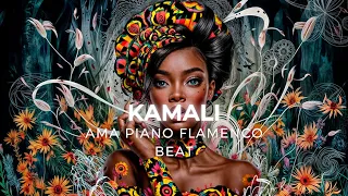 BASE - AMAPIANO X FLAMENCO - Type Beat / 2024 - AFROBEAT - "KAMALI"