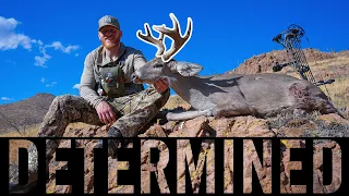 BowHunting Coues Deer | Determined